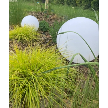 Lampa solarna wbijana Anslut biały 16,8 cm 1 szt.